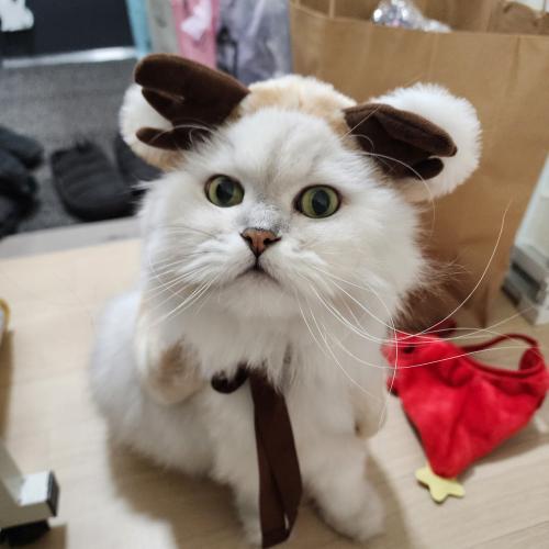 선수사진